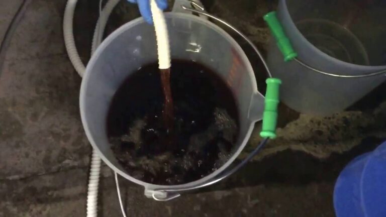 こだわりスープおすすめ　たまごを使った魚醤油料理レシピ　朝食や弁当に