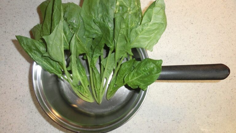 無水鍋でほうれん草を蒸すやり方