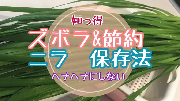 【5分でわかる&一生役立つ】節約/家計に優しい/ズボラ/ニラ 保存方法 #5
