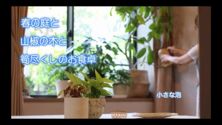 [春の庭と山椒の木と筍尽くし vlog] 新玉ねぎで酢玉ねぎ/ハーブの鉢植え/筍ご飯・若竹煮・姫皮のお味噌汁