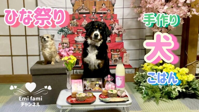 ひな祭り　手作り犬ごはん