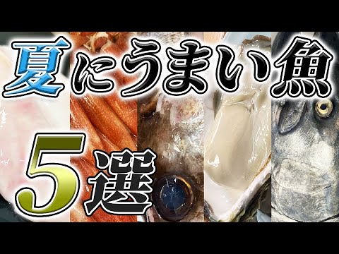 【 良い魚 ランキング 】 夏 に 旨い 魚 5選 ！ 【 目利き ・ せり人ムタロー 】