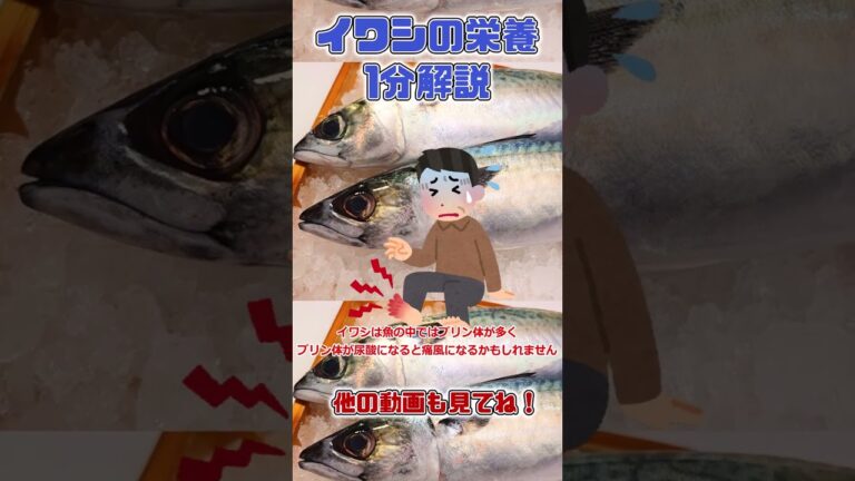 【ゆっくり解説】イワシの栄養を1分で解説 #shorts