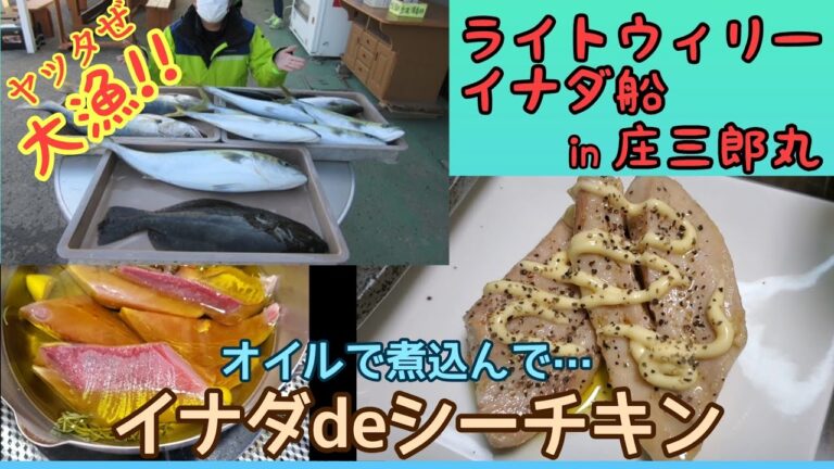 イナダが沢山釣れたのでシーチキンにしてみました　平塚 庄三郎丸さんライトウィリー
