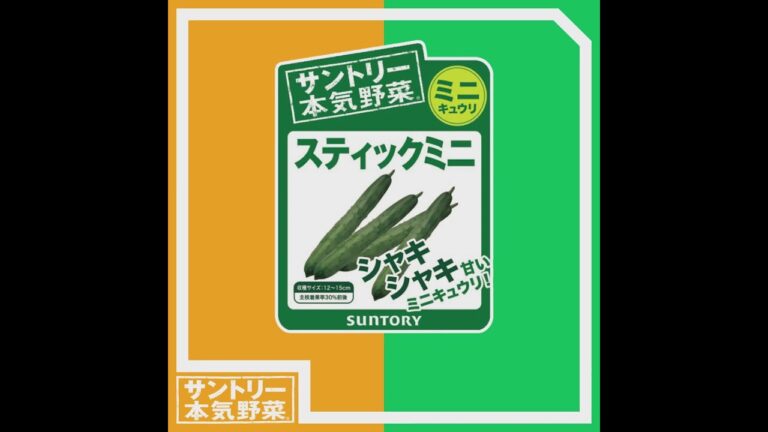 サントリー本気野菜 キュウリ 「スティックミニ」 商品紹介（ショートVer.) 11秒