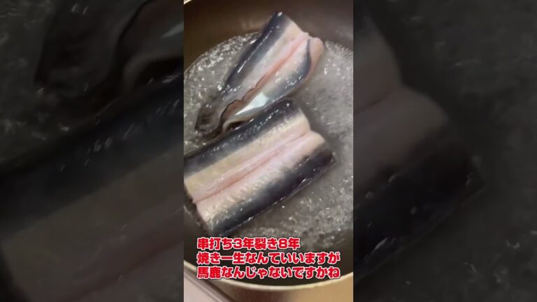 生ウナギ