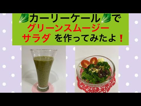 【身体に優しい】✴︎カーリーケール✴︎グリーンスムージーとサラダ