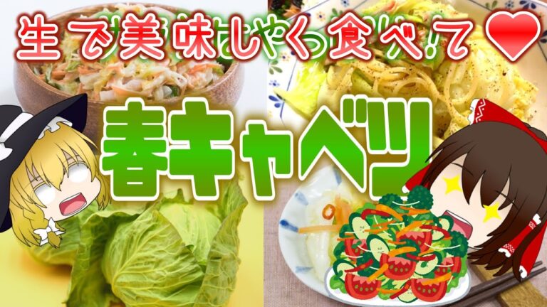 【ゆっくり解説】食べる胃腸薬！春キャベツの栄養がヤバい！