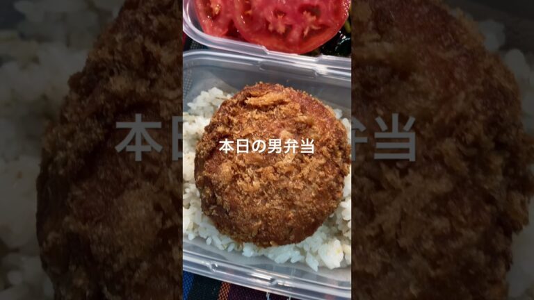 今日はメンチカツどーん #ランチ #今日のランチ #japan #お弁当 #japanesefood #ダイエット飯 #弁当 #弁当男子 #ダイエット弁当 #メンチカツ