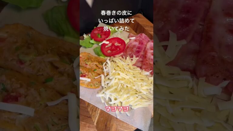 ホットサンドメーカーで春巻きの皮にいっぱい詰めたの焼いてみた #short #shorts #ホットサンドメーカー #ホットサンド  #チーズ