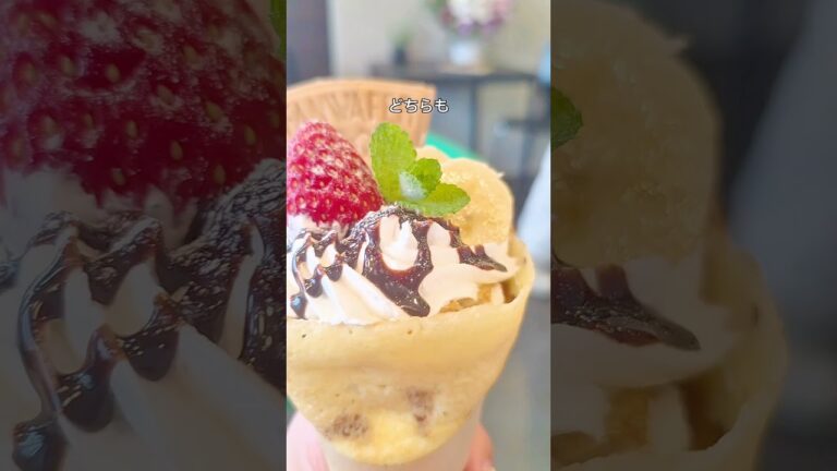 岐阜/2025年6月2日オープン