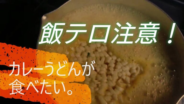 【お料理】深夜にデブがただカレーうどんを食べる動画