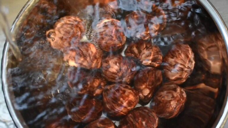 栗の渋皮煮[KAORIS KITCHEN]