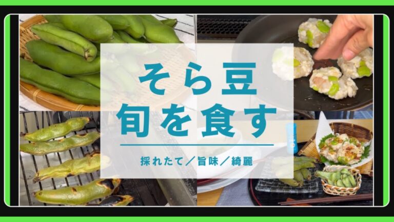 美味い 旬を食す 新鮮そら豆三昧