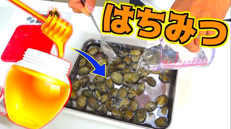 アサリをより美味しくいただく方法を試してみたら・・・