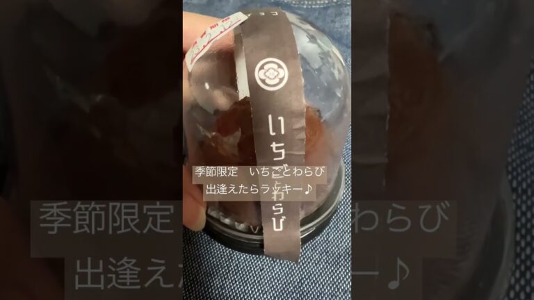 豪雪地帯が生んだ極上の和菓子【工藤菓子店】岩手県西和賀　#shorts #岩手 #スイーツ #和菓子 #わらび餅  #いちごとわらび
