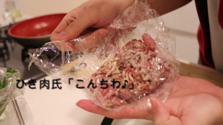 【超簡単】白ネギとひき肉炒め【Hiro'sキッチン】