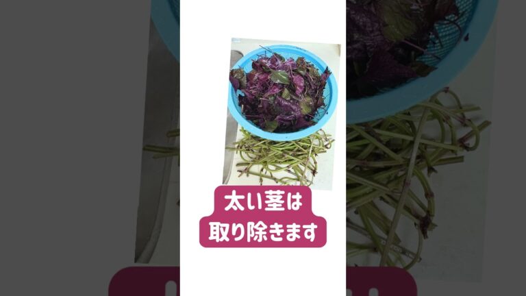 赤しそジュース 作ってみたよ～ 　#しそジュース #健康ドリンク #サロンのアフタードリンク