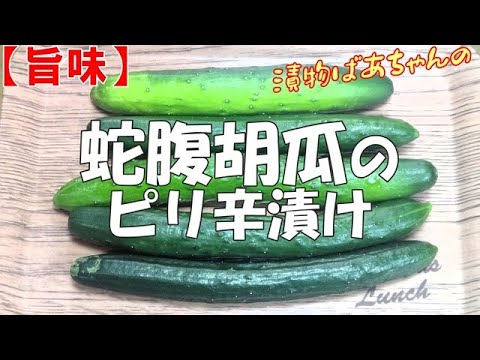 【旨味】蛇腹胡瓜のピリ辛漬け『ご飯のお供に お酒の付け出しに 箸の止まらない旨さ！！』Let's eat season's food