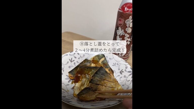 ねこぶみそ 選べる！ ４種類の組み合わせ 『鯖の味噌煮』#shorts