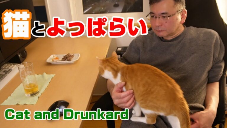 猫と晩酌！茶白猫と一緒にマグロの刺身・豚ハツ・豚レバーを食べる