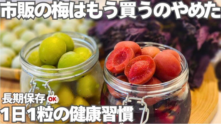 【初めてでも失敗しない】保存袋で漬ける簡単カリカリ梅。1年保存できる保存食。ホワイトリカー不要。赤紫蘇漬けまで徹底解説