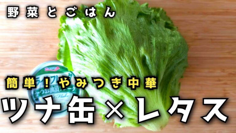 【レタスレシピ】簡単なのにやみつきな旨さ！レタス、ツナ缶