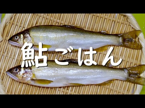 香り豊かな「鮎ごはん」。旬の旨みを味わえます。