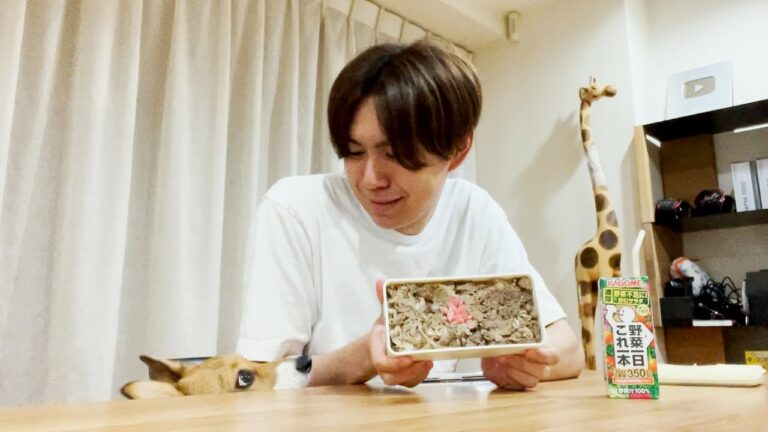 牛丼のお弁当を作って職場で食べました！