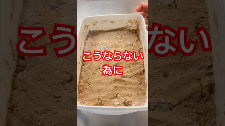 ぬか床が一夜にして真っ白になる理由　#ぬか漬け #腸活 #産膜酵母
