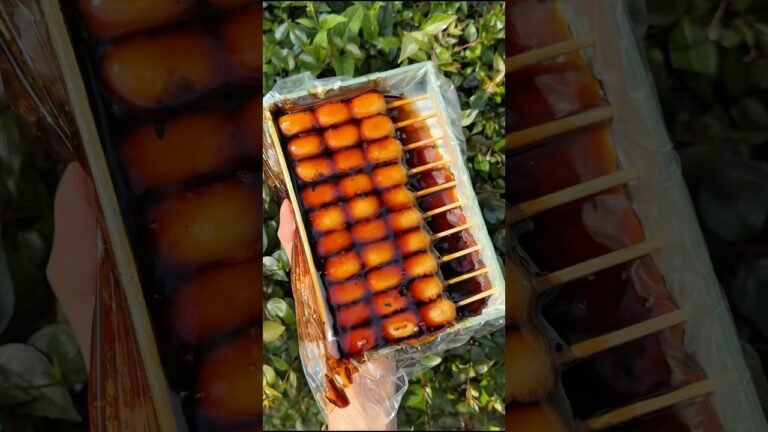 1本90円 !? 日本1濃厚みたらし団子🍡#japanesefood