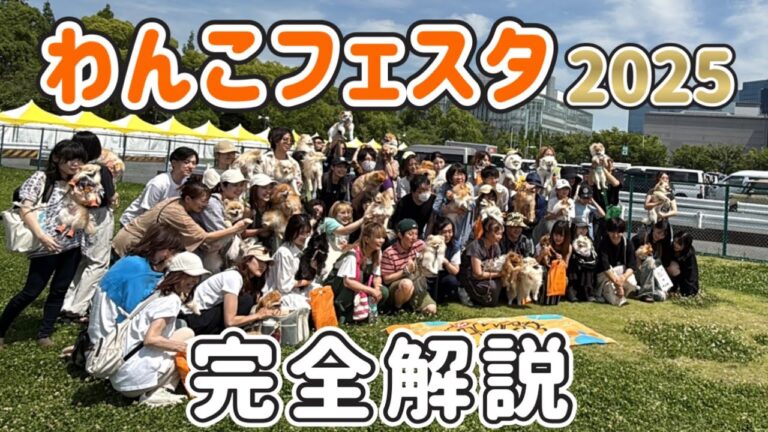 【最速】ジャパンわんこフェスタ2025行ってきたー！