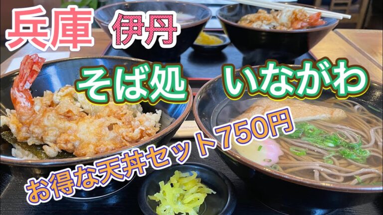 【お得天丼セット】750円食べてみた^_^そば処いながわ初訪問