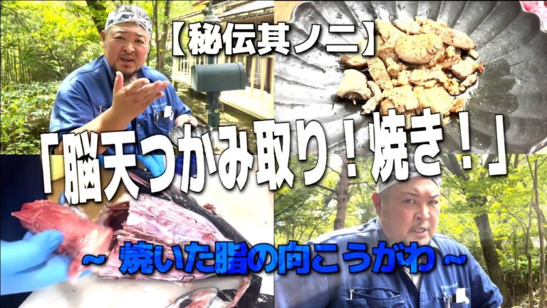 【秘伝其ノ二】まぐろ希少部位の脳天つかみ取り/焼き！新発見の美味さ！#まぐろ#japan#チャンネル登録お願いします