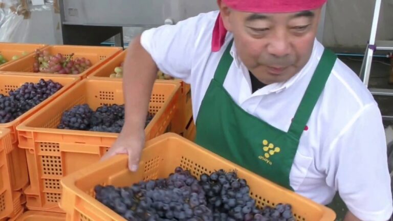 山梨のワインビネガーでおいしいドレッシング。