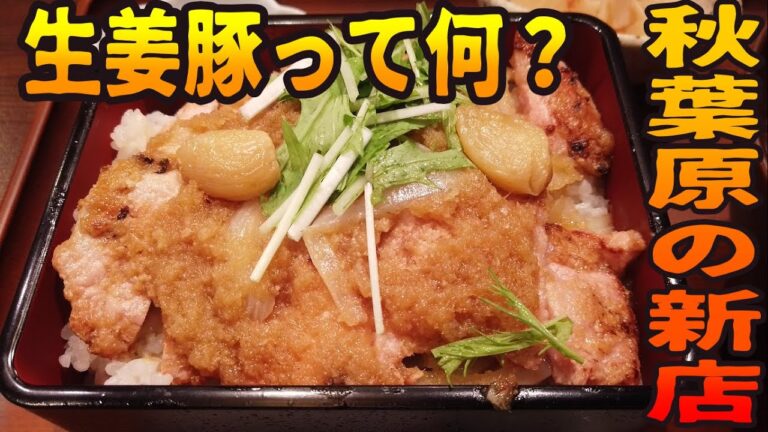 免疫力アップ⁉ 秋葉原の新店はしょうが焼きならぬ生姜豚？【昼めしジプシー】末広町・生姜豚 香登利