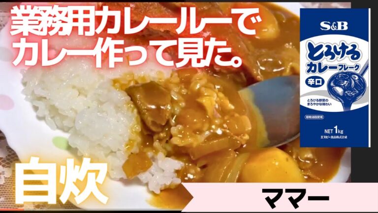 業務用カレールーでカレー作って見た　【S&Bとろけるカレーフレーク辛口】