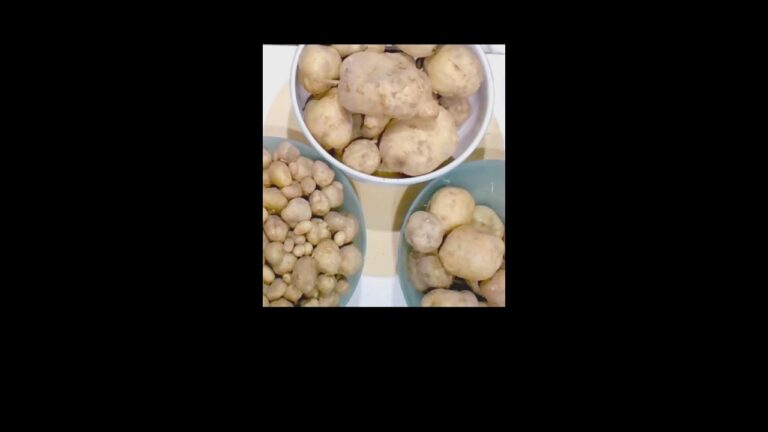 T's kitchen cooking cafe  一押しコールスロー　深夜の日跨ぎ料理