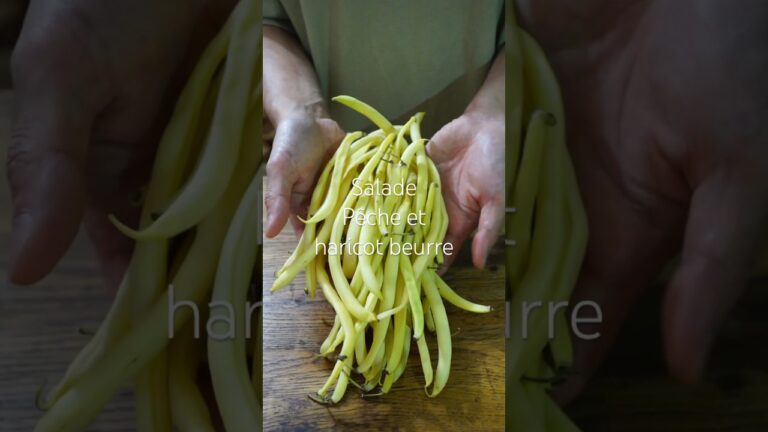 驚きの相性！　桃とインゲン豆のサラダレシピ　爽やかな夏の味　#shorts