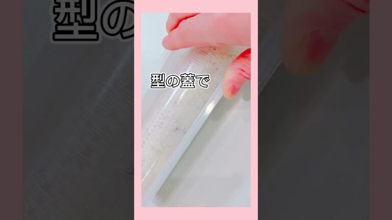 【DAISOの型で巻き寿司作ってみたよ✨】#shorts