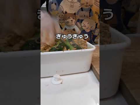 【ゆっくり】ズッキーニの漬物を作ります #shorts 【MEMO】