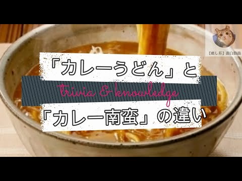 【雑学】「カレーうどん」と「カレー南蛮」の違い