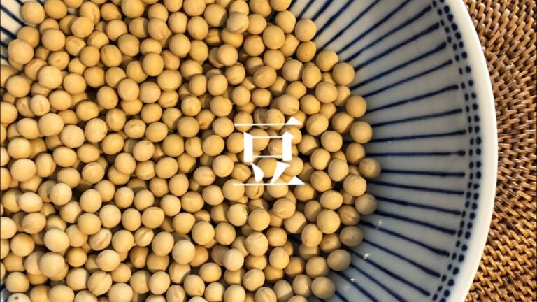 【お豆さん】大豆をおいしく炊き上げて、おつまみにしました！