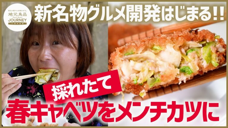 【三浦ブランド野菜】激甘い春キャベツたっぷりの極上レシピ！食の専門家が教えるメンチカツ！名コンビ誕生で名物グルメ開発がスタート！