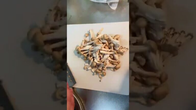 米粉で作る濃厚シチューが美味かった #shorts #料理