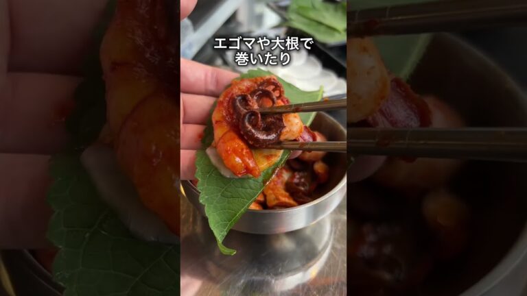 【ボリューム◎】一度で3度美味しいチュクミ？！【八王子】