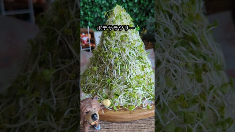 【ポテサラツリー】ポテトサラダツリーにしてみた🎄🥔！#shorts #料理 #レシピ #ポテサラ #ポテトサラダ #クリスマスレシピ