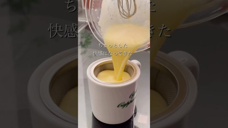 【レンジで3分🍮】水切りヨーグルトの副産物ホエーが大変身！罪悪感少なめマグカッププリン✨