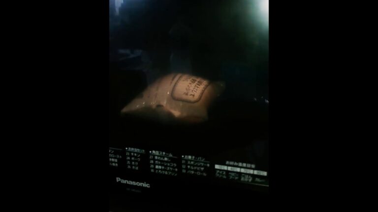 冷凍食品のビーフンを電子レンジで温めたらこうなる!