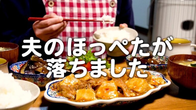 夫のほっぺたが落ちた30代夫婦のリアルな晩ごはん｜自炊記録【豚こま麻婆豆腐】